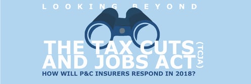 Looking Beyond TCJA IG.jpg